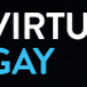 84% off VirtualRealGay Coupon