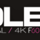 70% off Holed.com Coupon